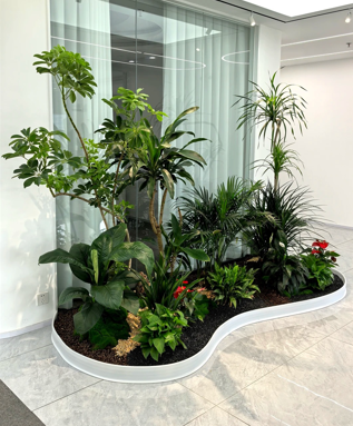 镇海绿植租摆申请-江北花木租摆用途-余姚花卉租摆展示厅-海曙办公室植物租赁